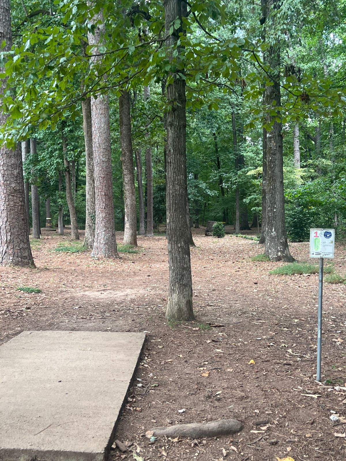 Hole 1