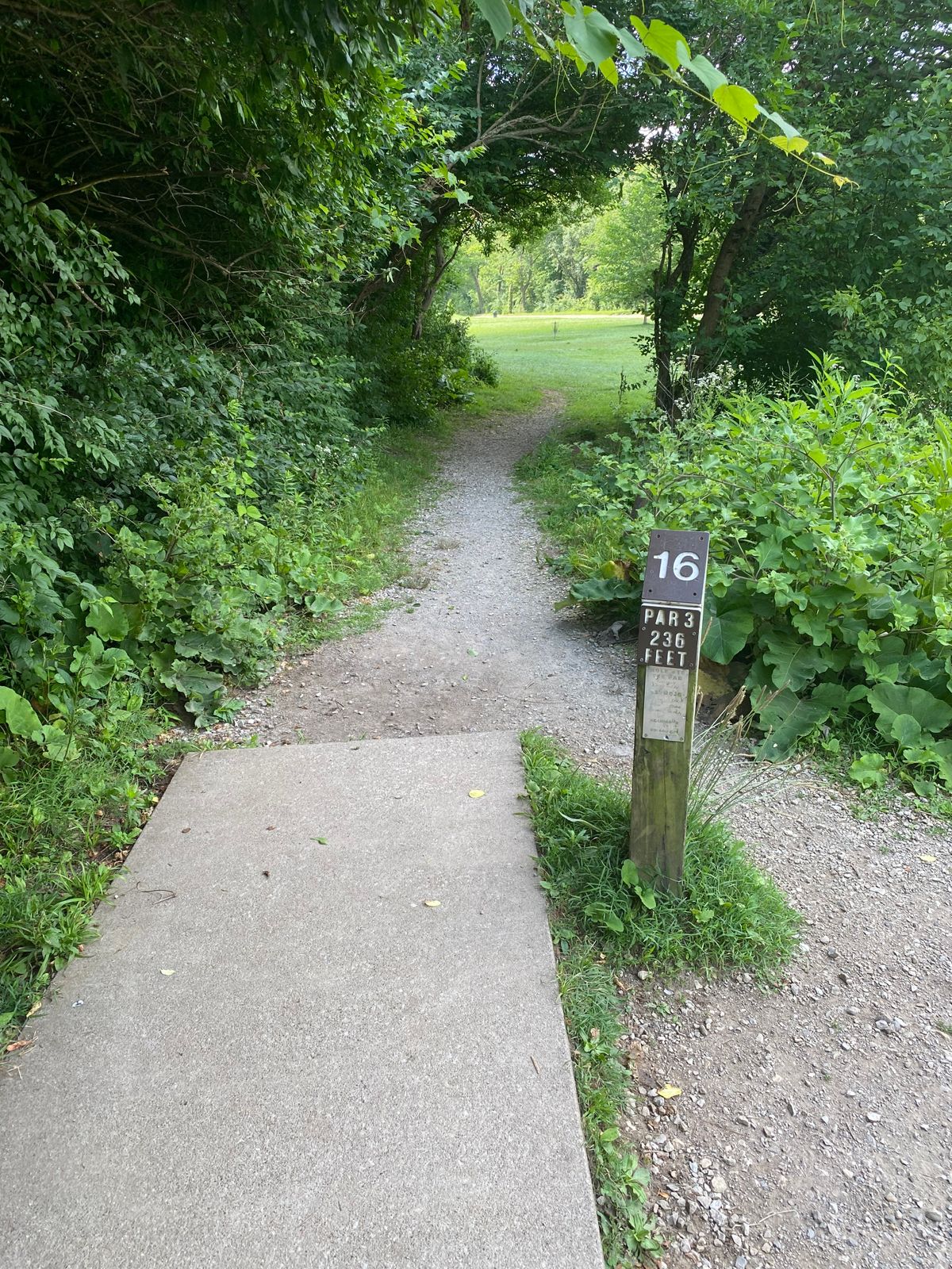 Hole 16: Par 3, 236ft