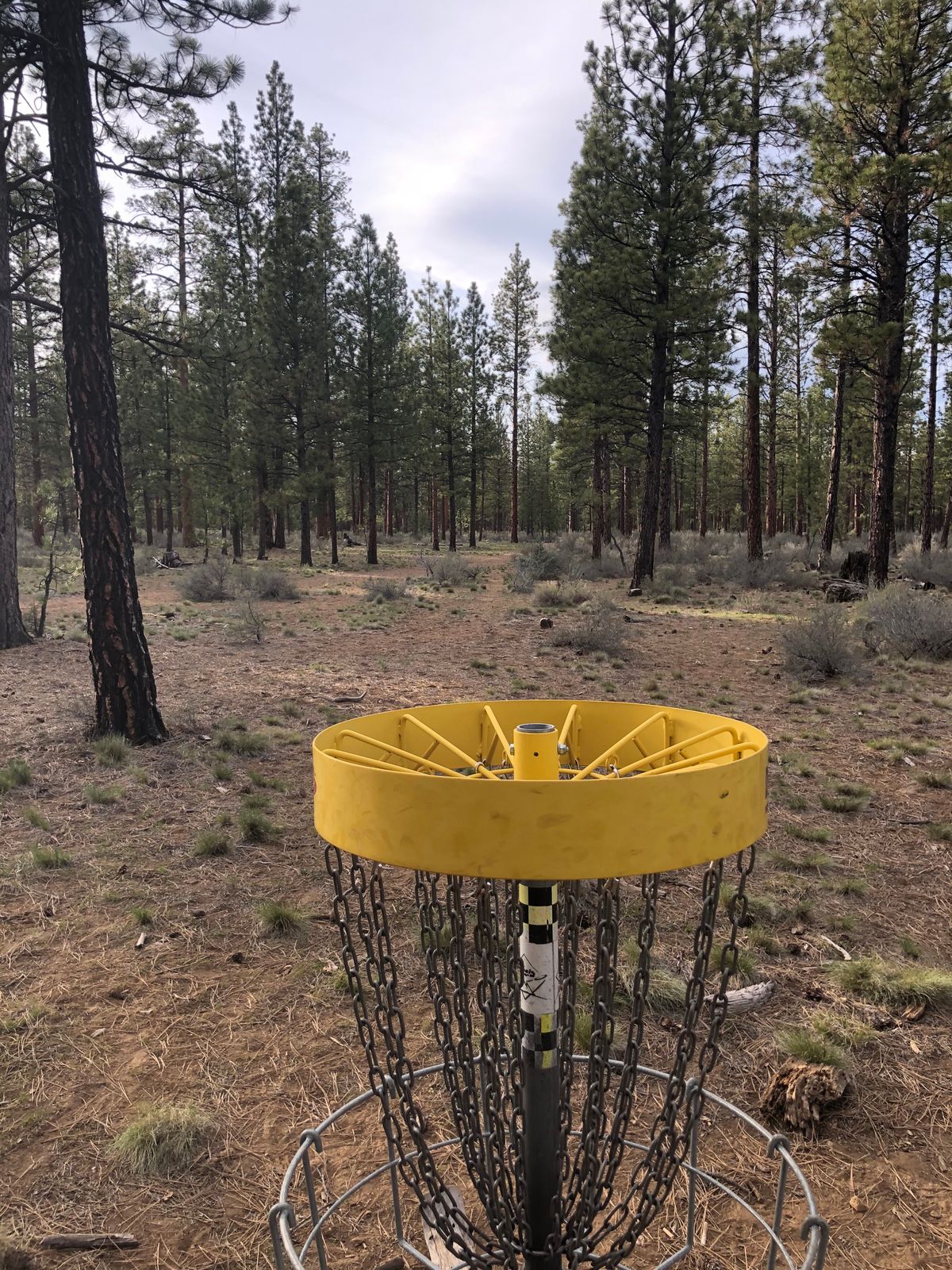 17 basket to tee