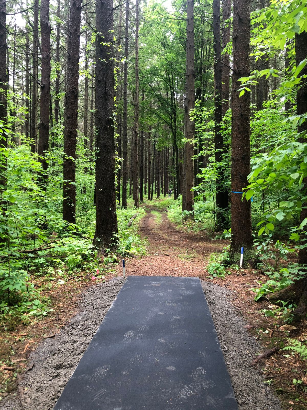 Hole 3