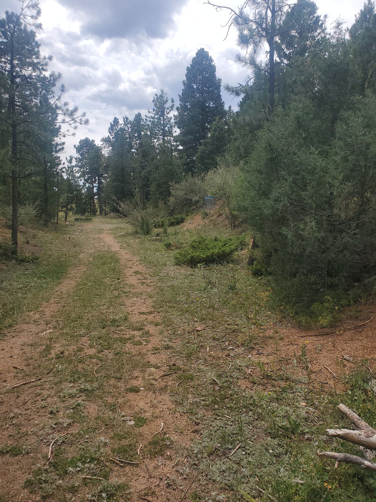 Hole 1
