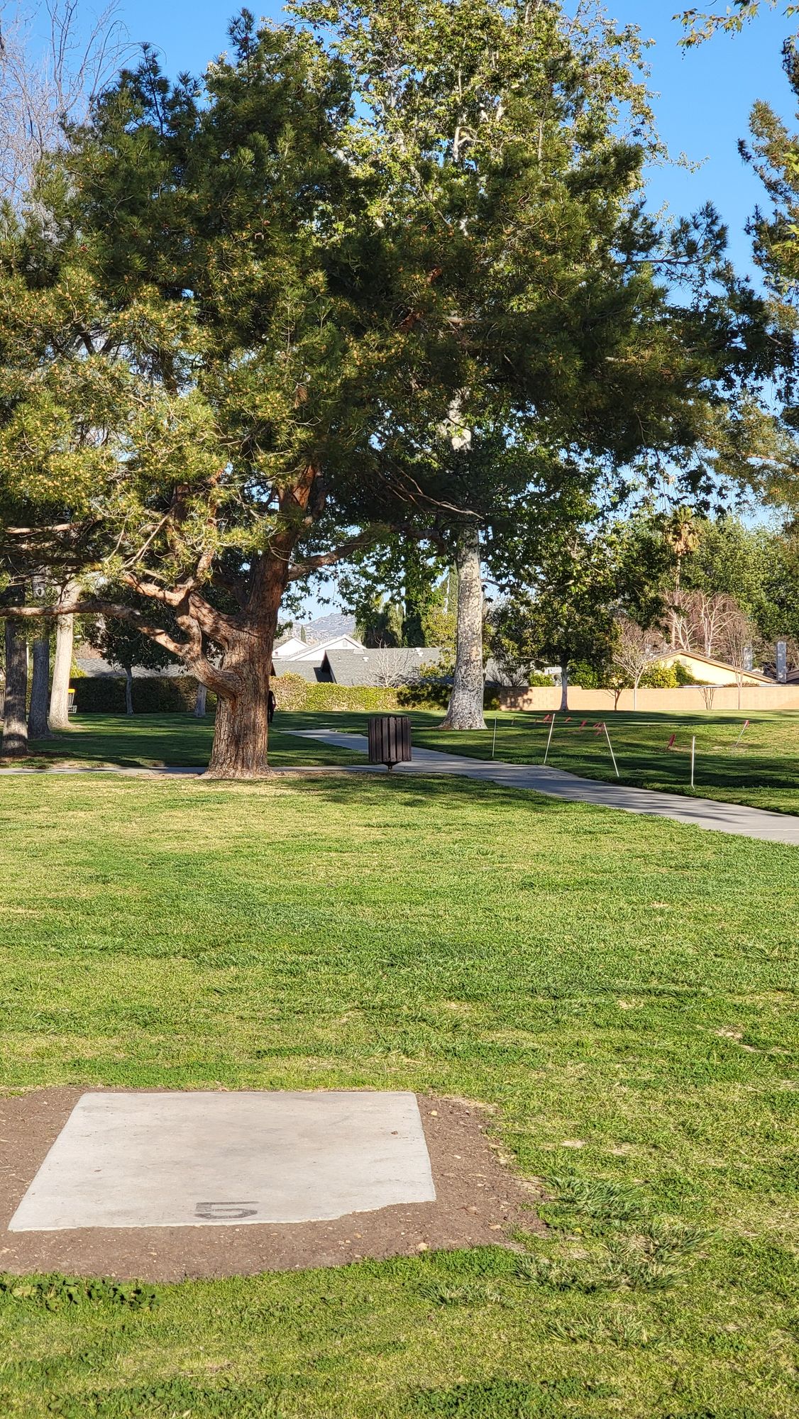 Hole 5 Tee Pad. There was a large tree to the right of the pathway next to the first tree, but it was cut down in Feb 2021.