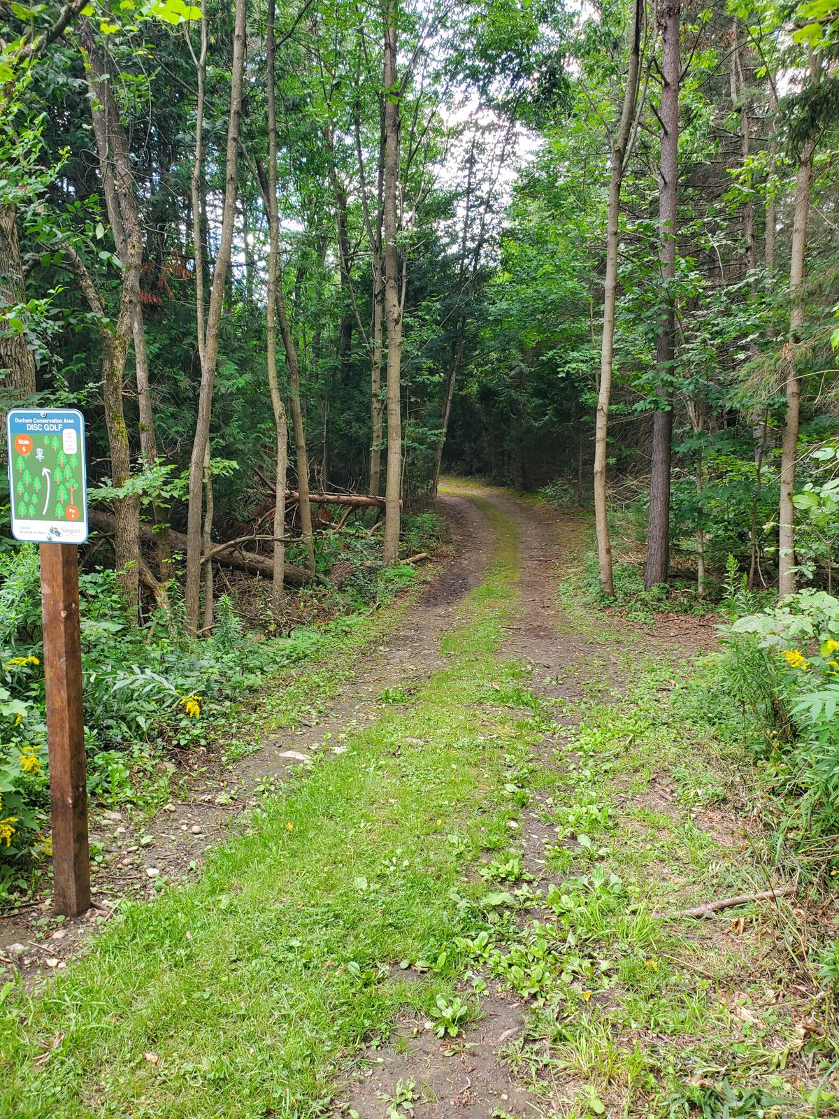 Hole 5