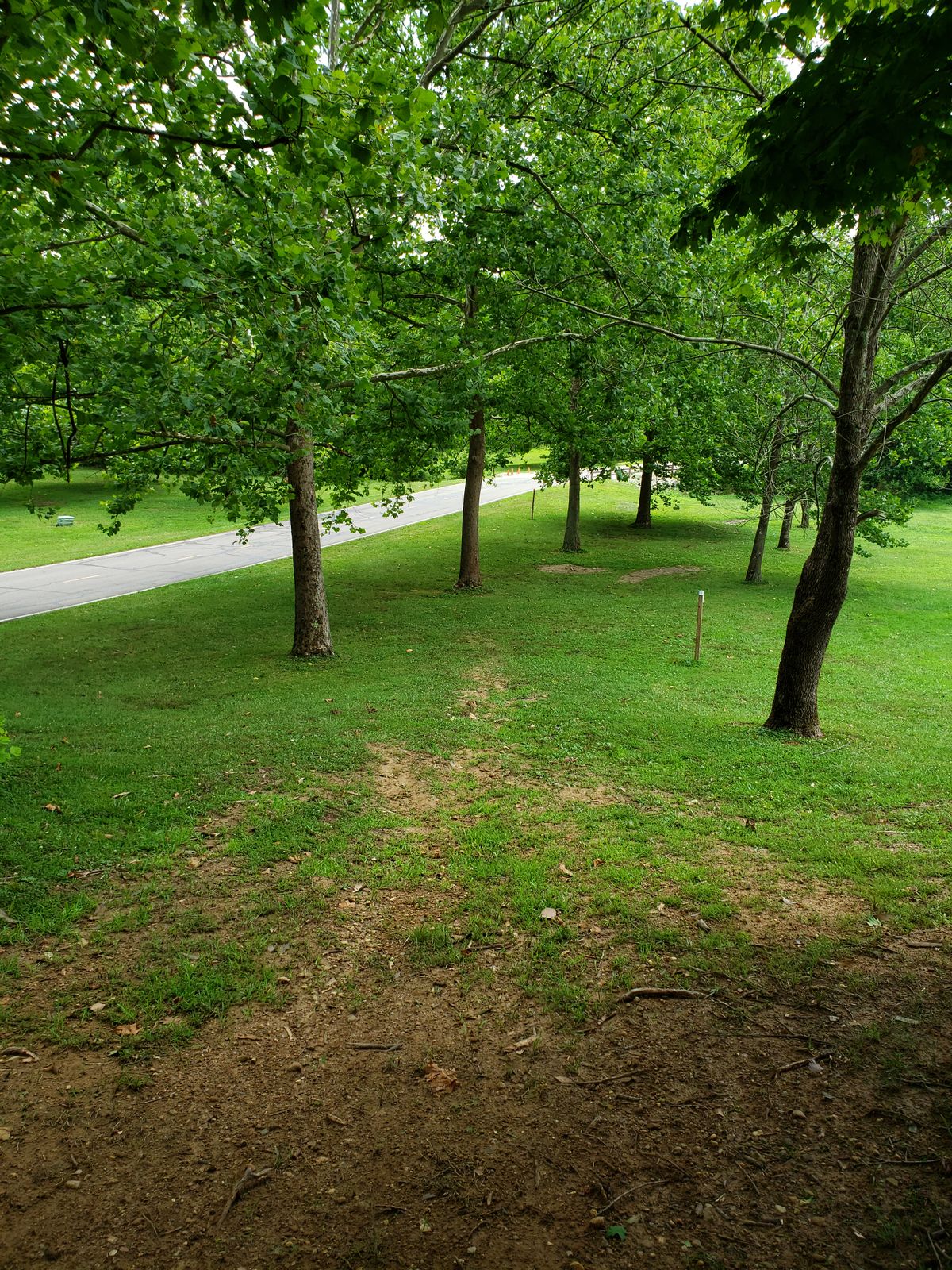 #6 Top of hill looking back toward the Tee Boxes.