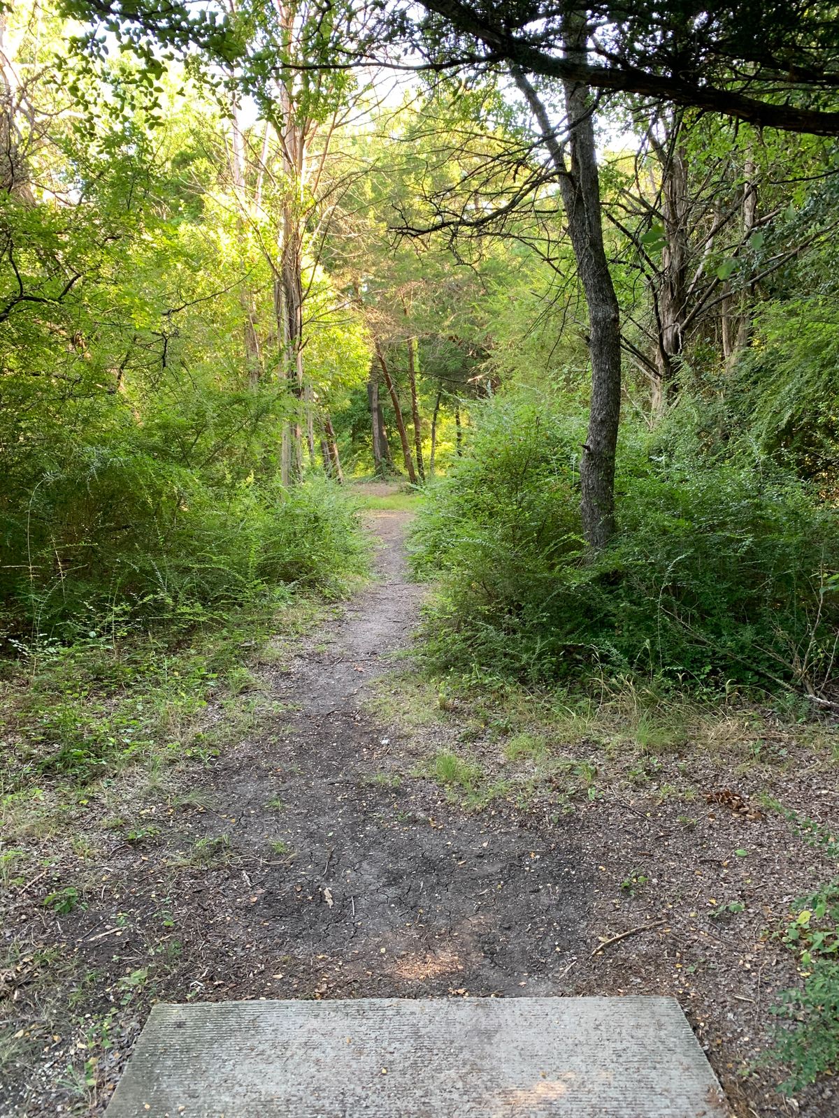 3 dogleg left, cross the creek (hidden left)