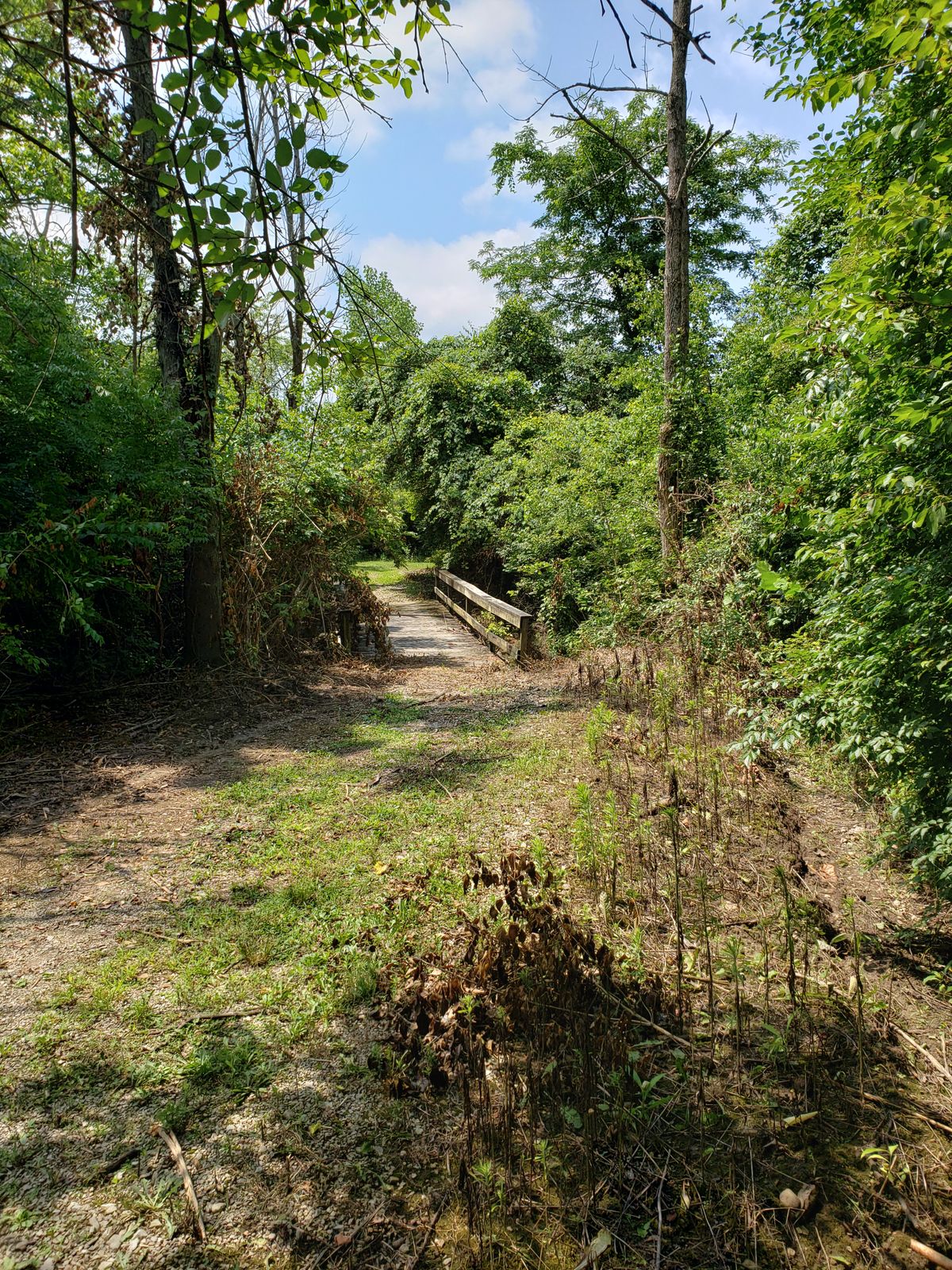 Foot Bridge from #14 to #15.  Turn right at the "T" on the other side of the bridge.  You'll see a power transformer on left just off bridge