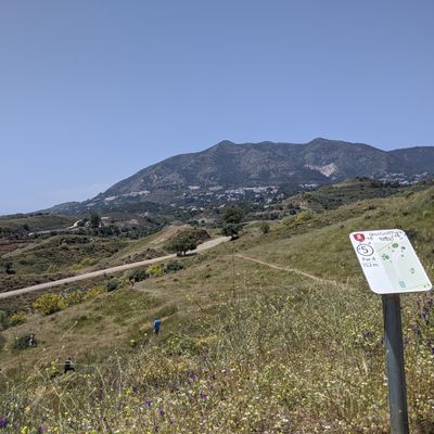 Reds hole 5 tee.