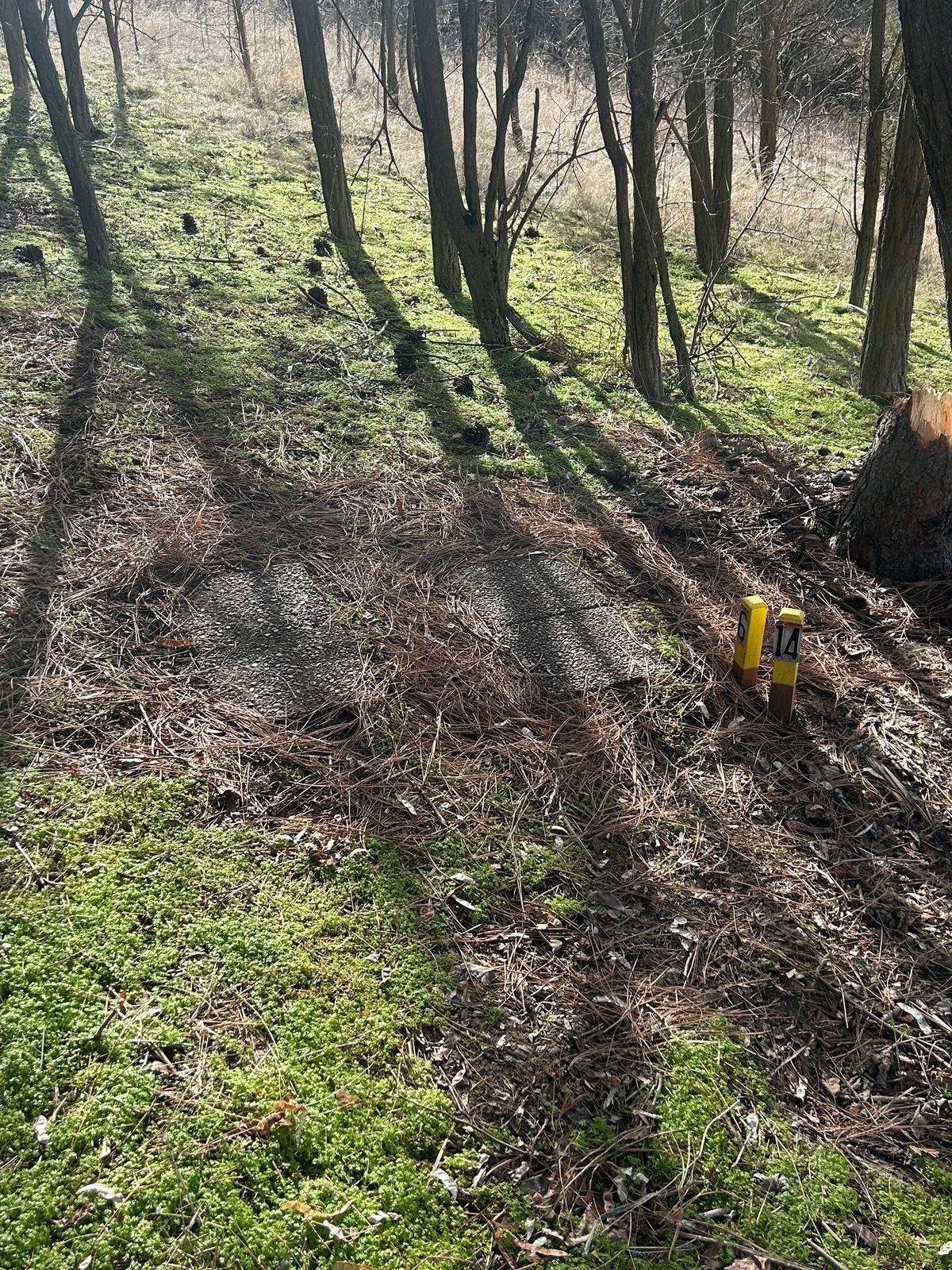 Hole #14 step T-pad.