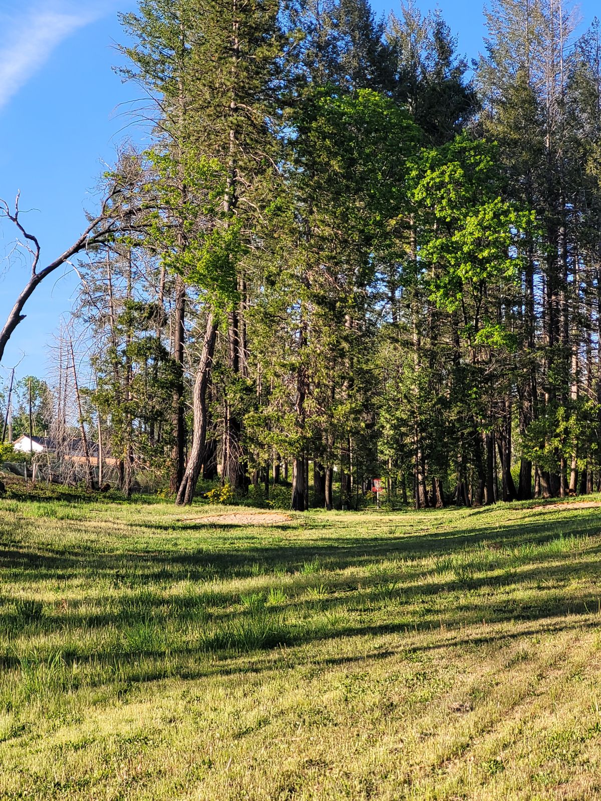 hole 18 pin position D