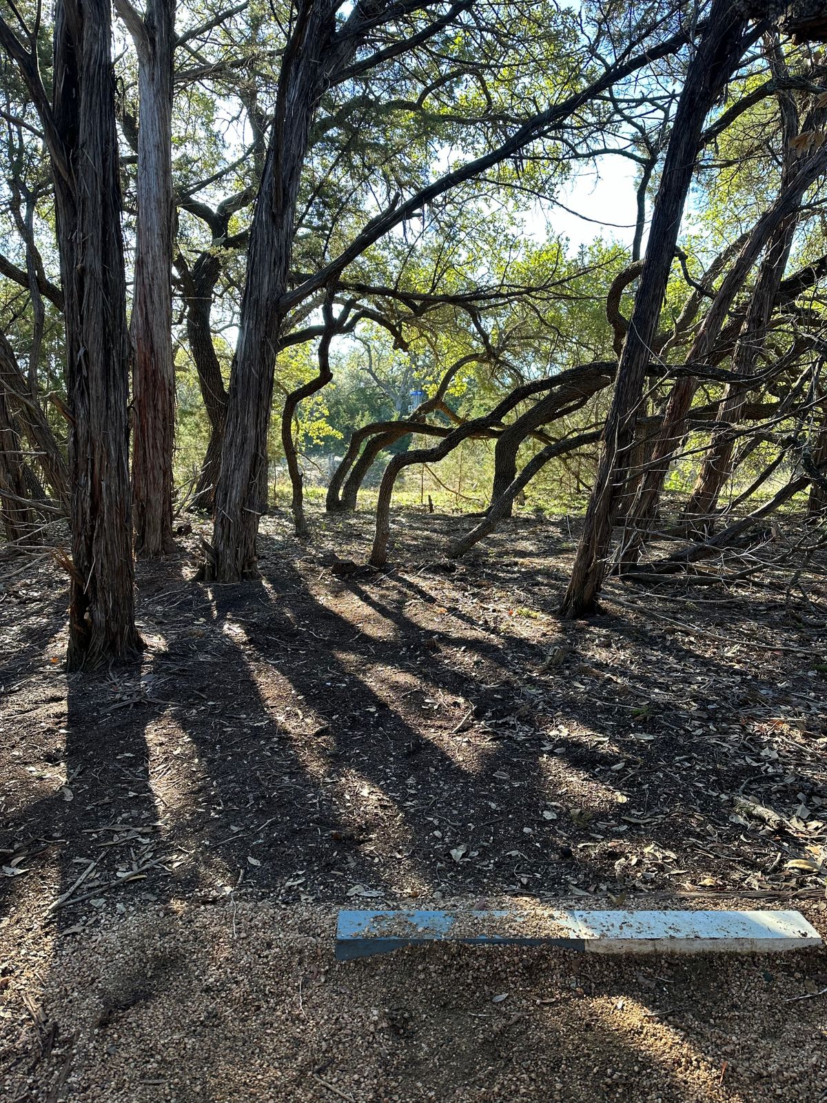 The only gimmicky hole on the course. A short little 100footer with an elevated basket.