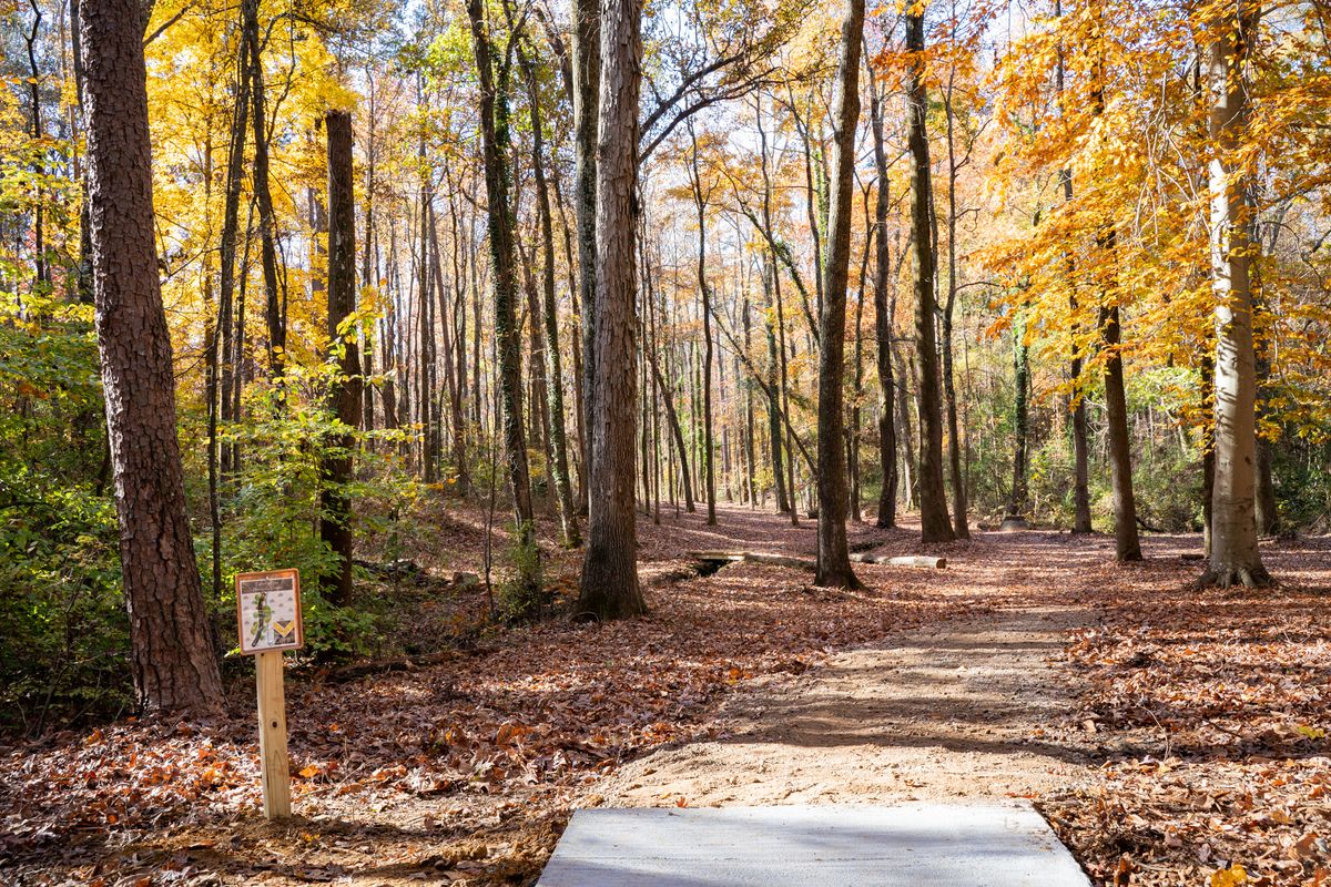 Hole 17 Tee.