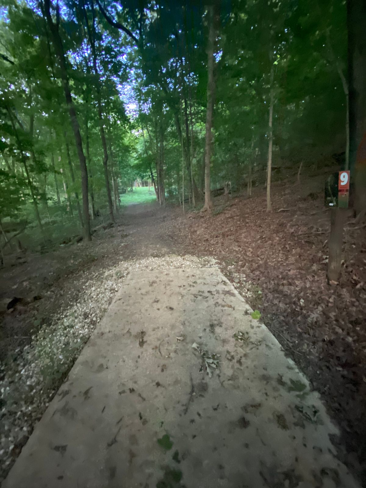 Hole 9 tee