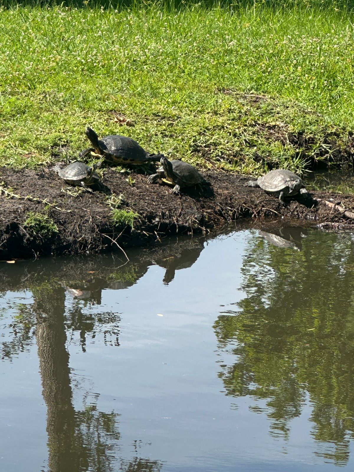 Local residents!