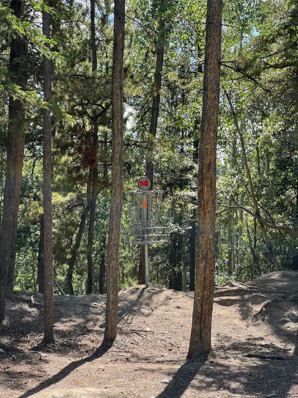 Hole 14 basket