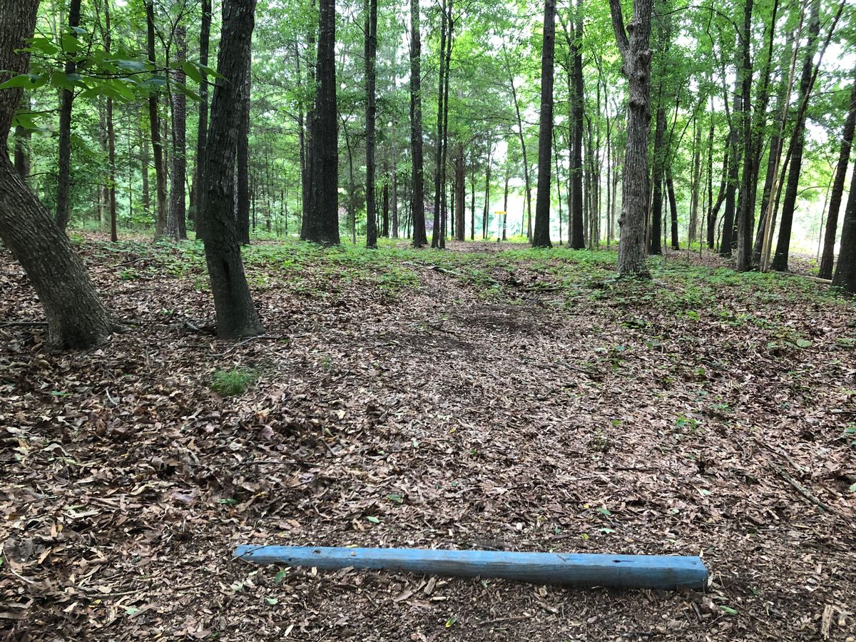 Hole #3 tee