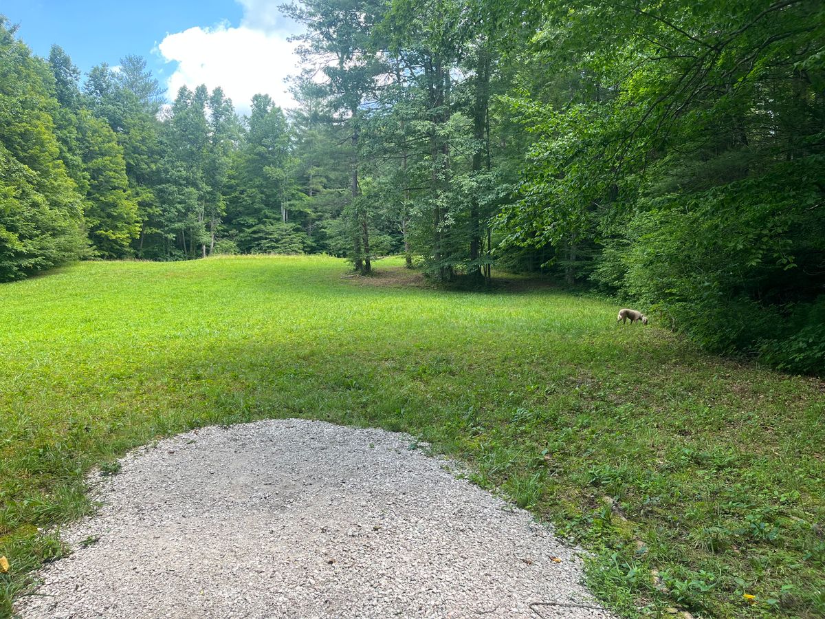 Finishes on the other side of the tree island.  Tee pad for 6 is to the left.