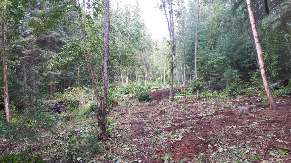 Looking backwards on hole 12, par 4.