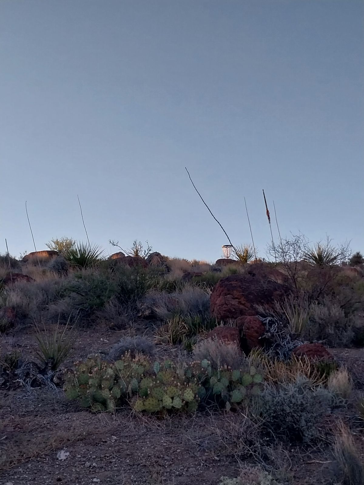 Extreme Desert Disc Golf