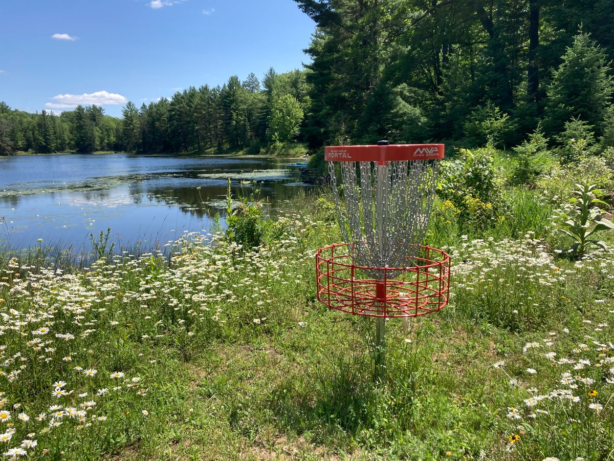 Basket hole 1 looking back at tee pad