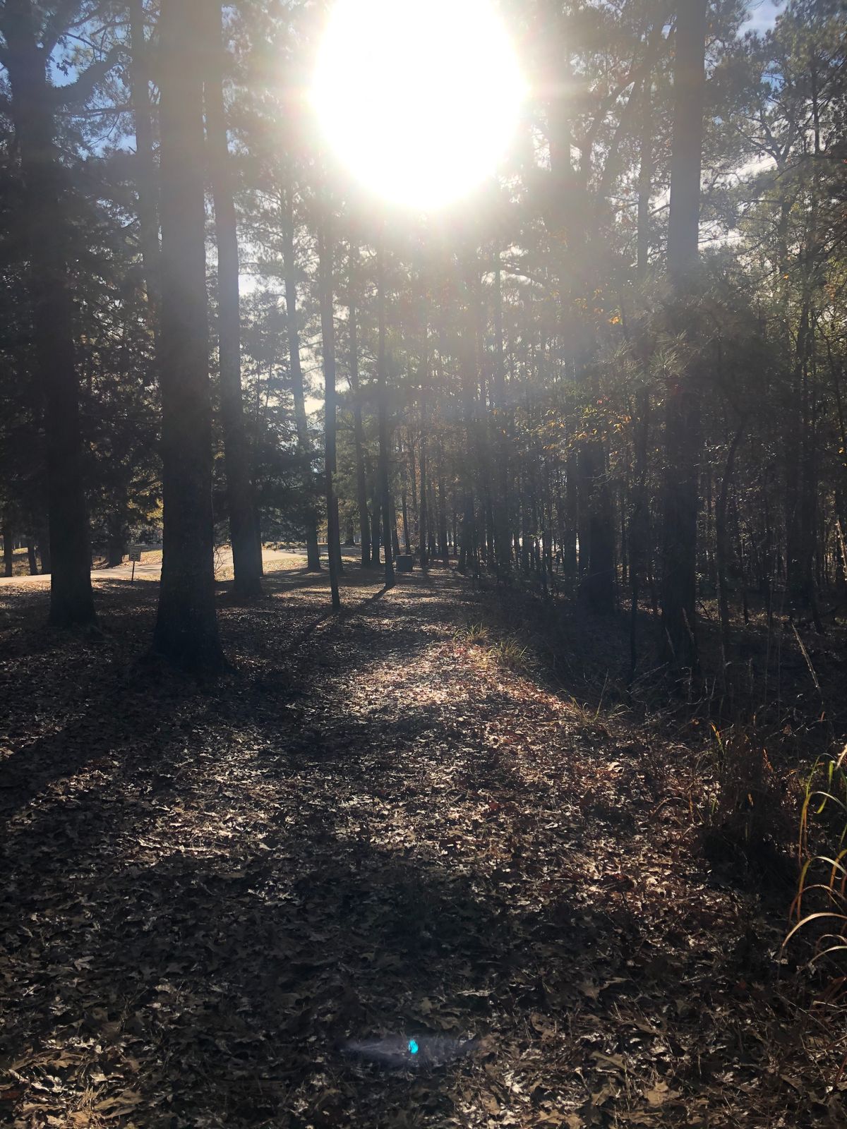 Hole 7