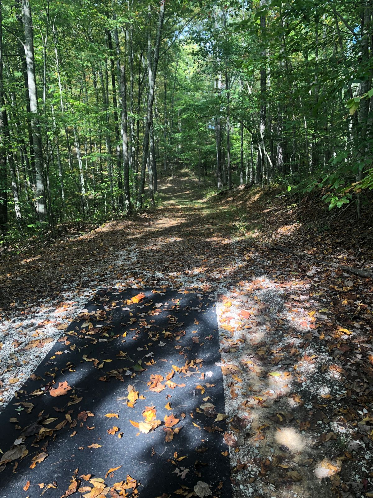 Hole 11 Tee pad. Plays to the left.