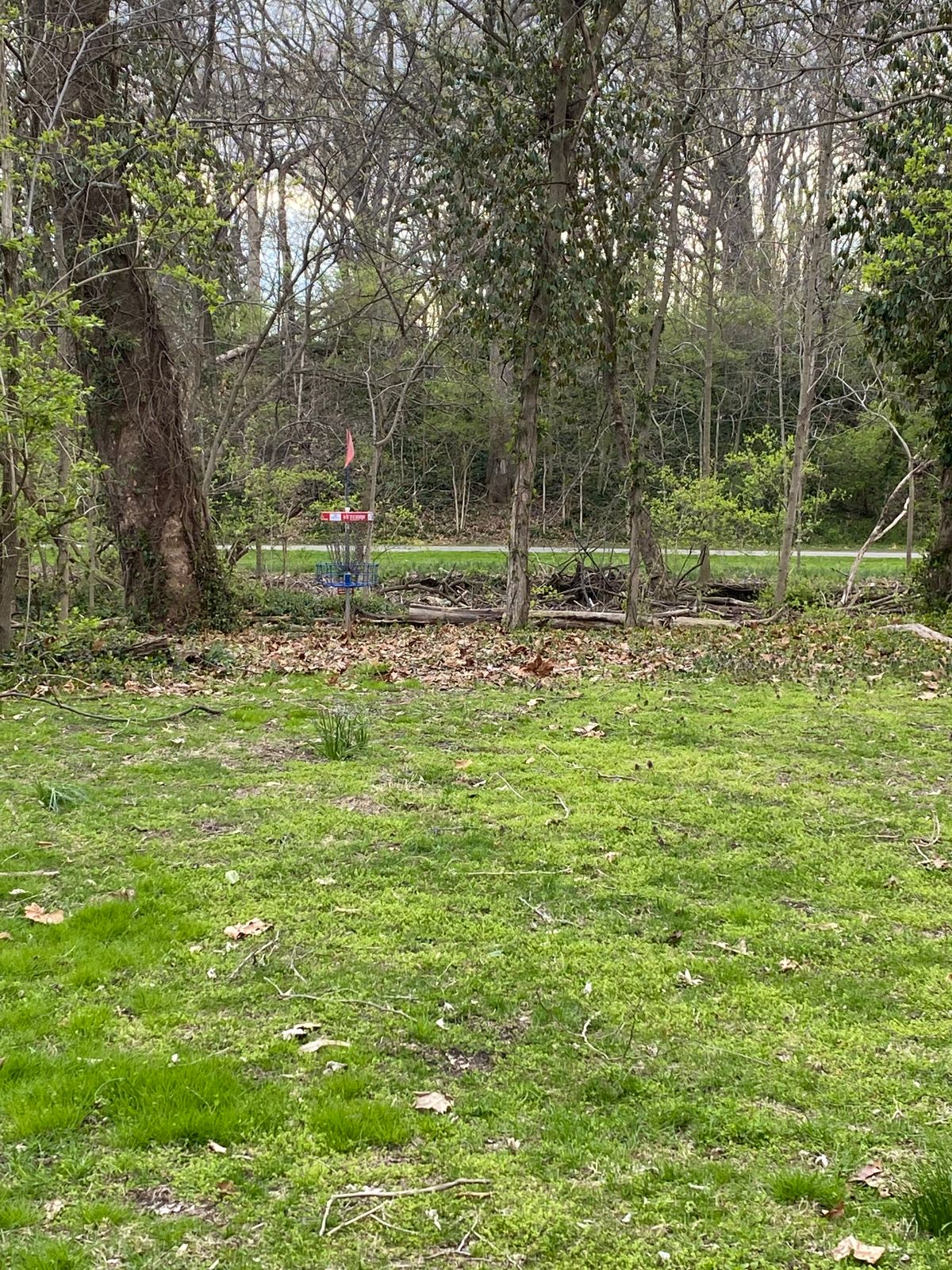 Hole 15 in C pin