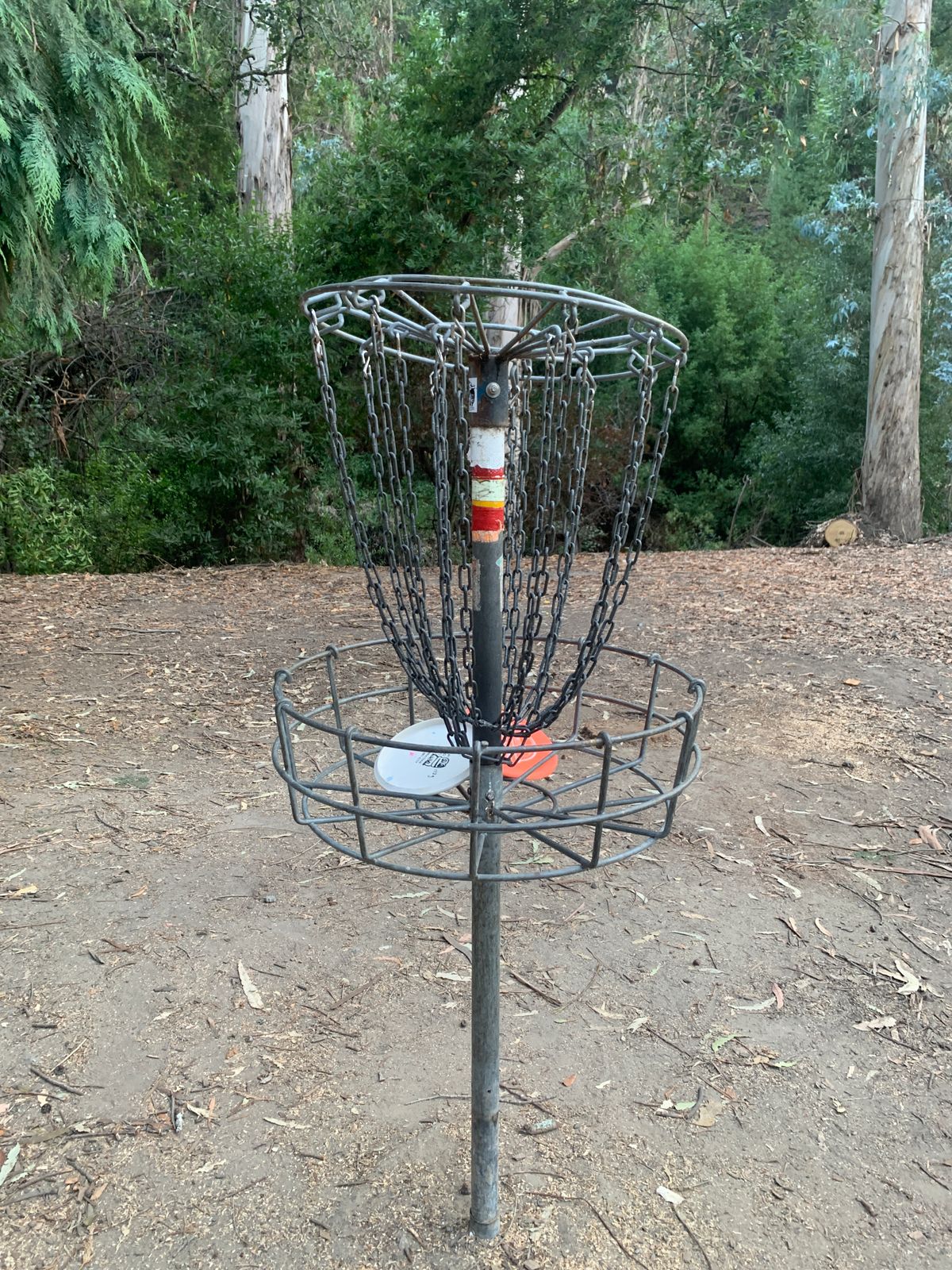 Tree on Hole 7 finally clear 8/26