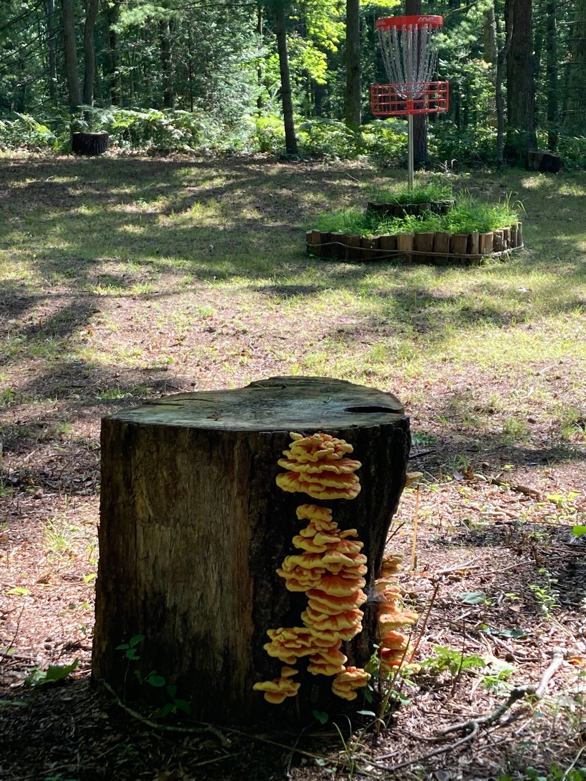 Circle one marker hole 18.