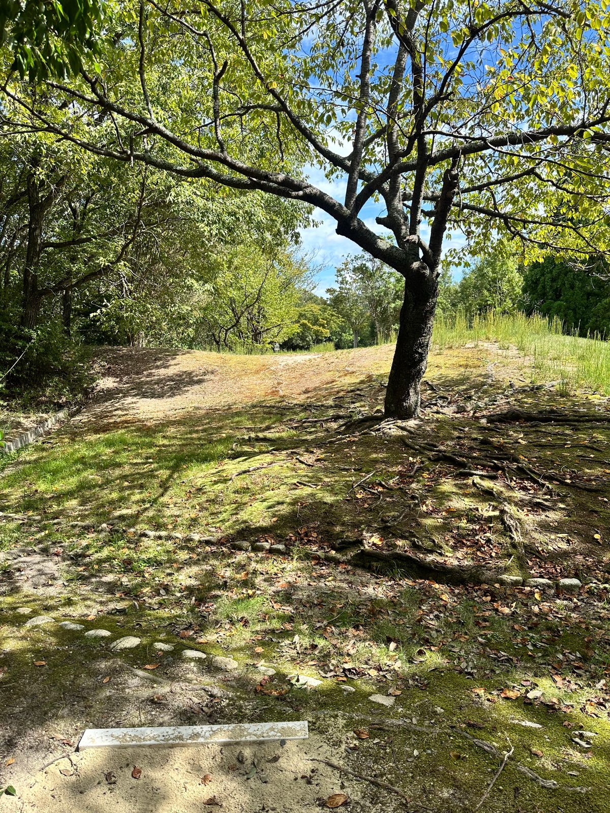 Hole 8