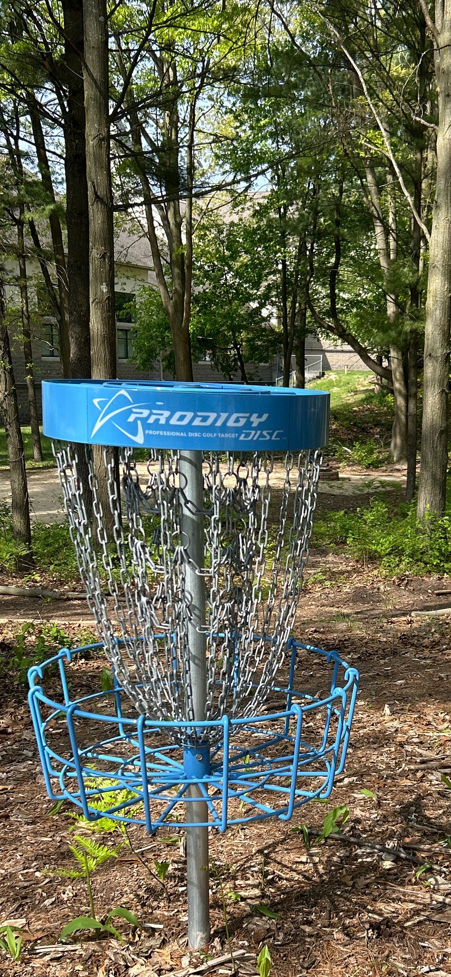 Hole #8 basket