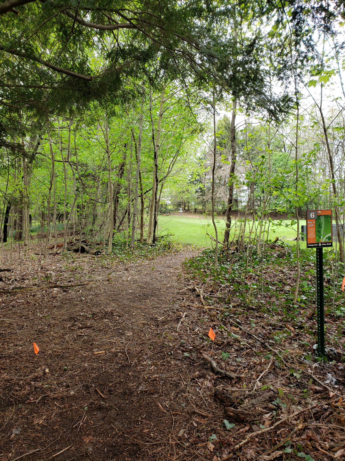 Hole 6 plays from the woods at the edge of the lawn.