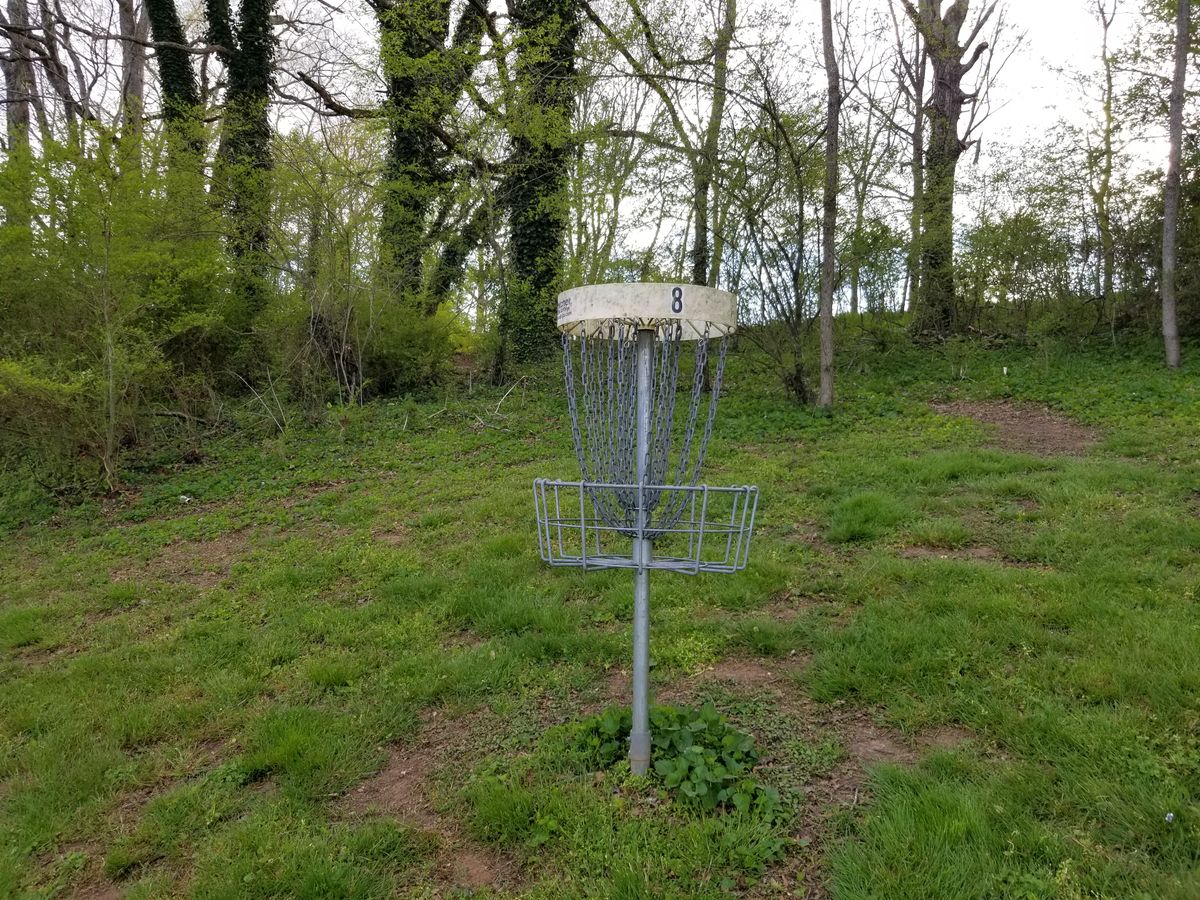 Cool ivy covered trees between hole 3 and 4.
