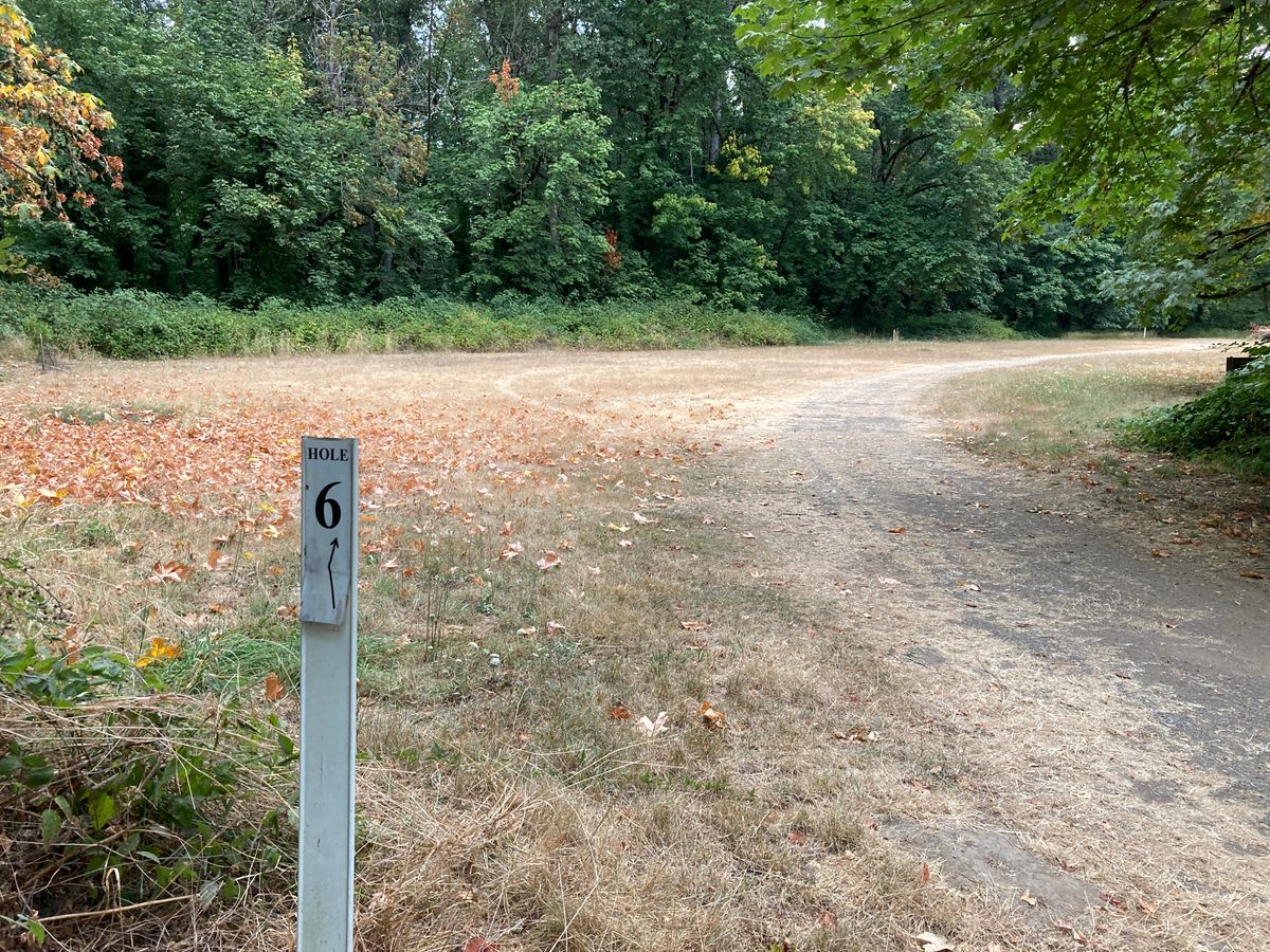 After walking along the road from hole four, which is a gravel road, T for six has a sign