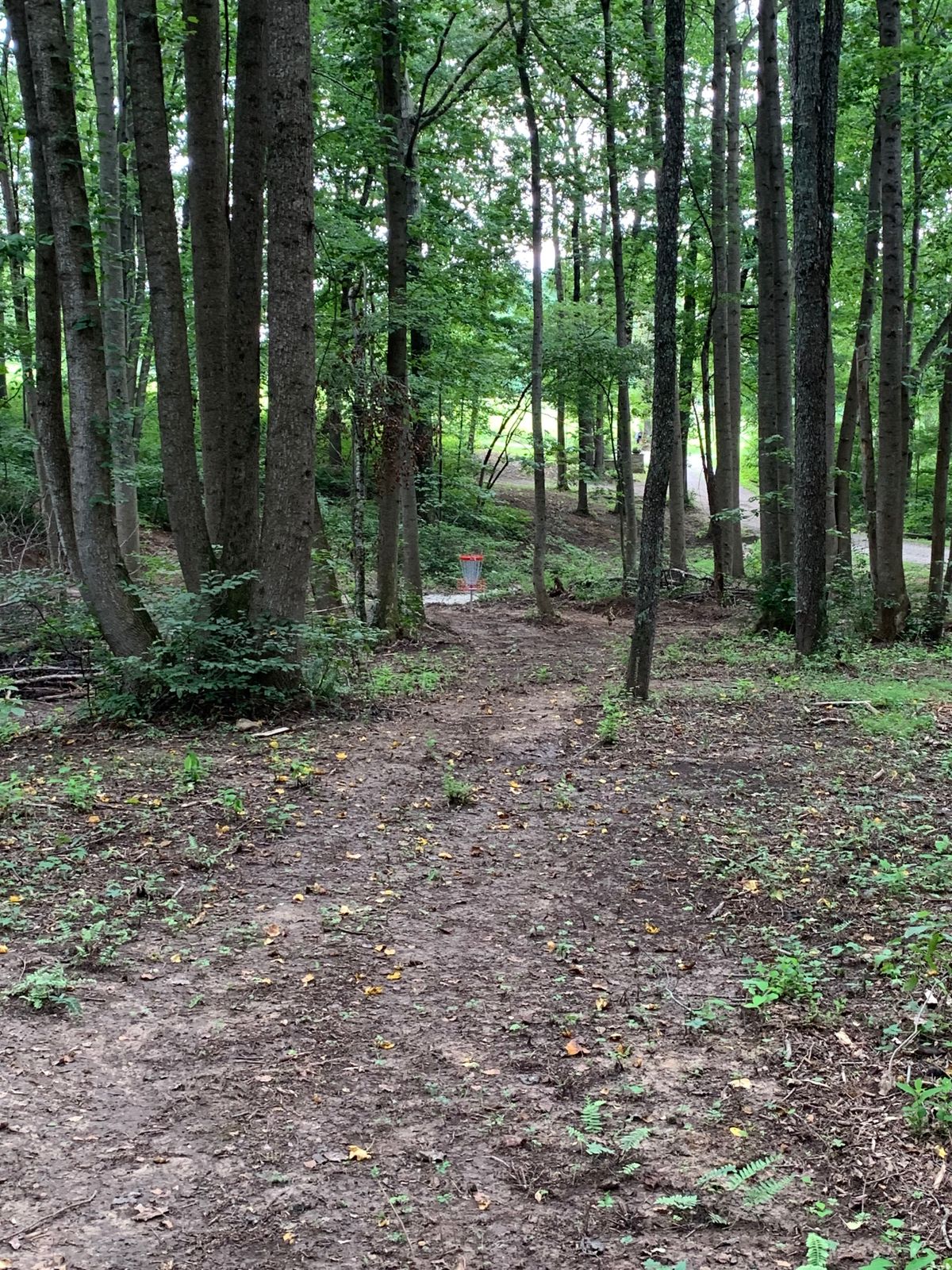 Hole 4 basket.