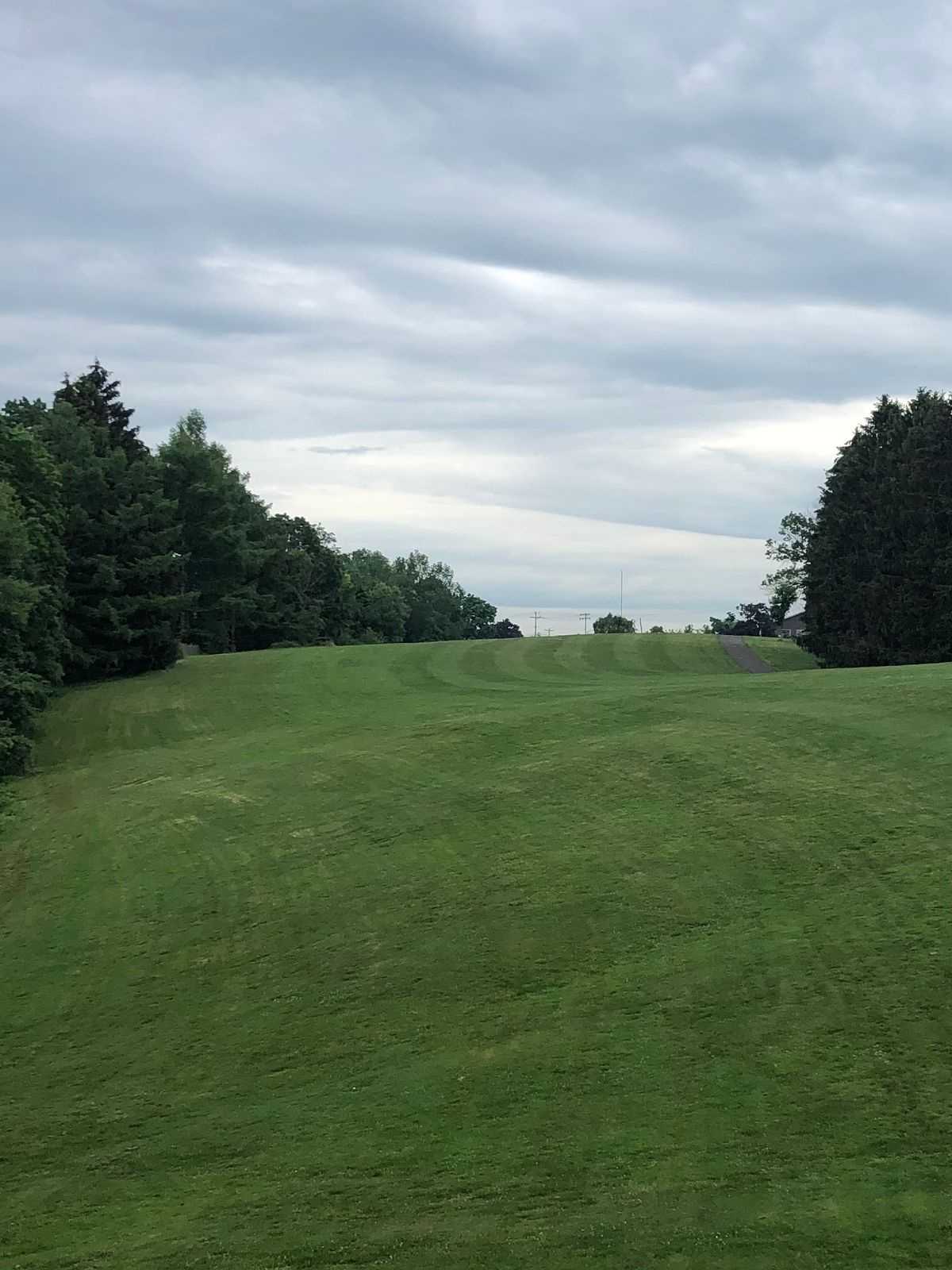 Hole #2 Fairway