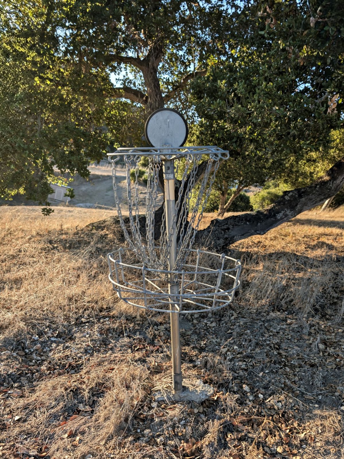 Basket 1 is hiding from you. Top of this hill but right side of the path.