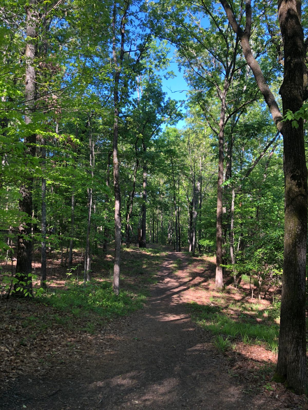 Hole 12