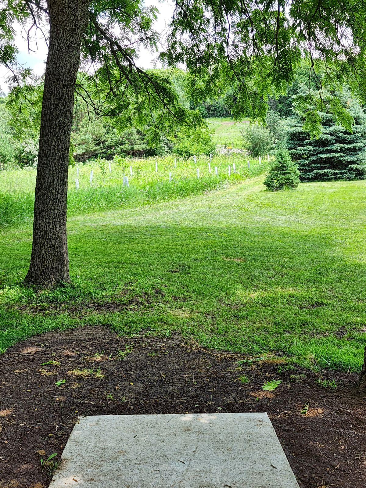 Hole 1 tee.