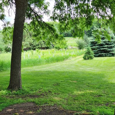 Hole 1 tee.