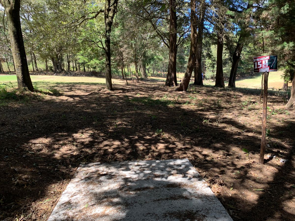 Hole #15 tee pad