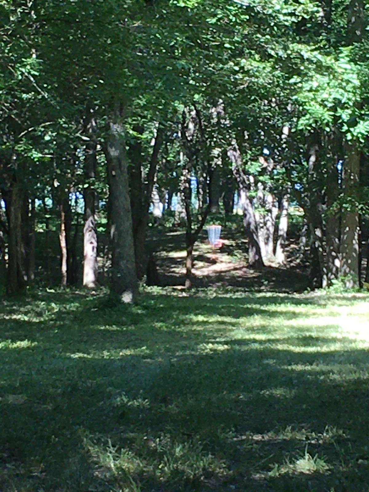 Hole 7 Fairway and Basket