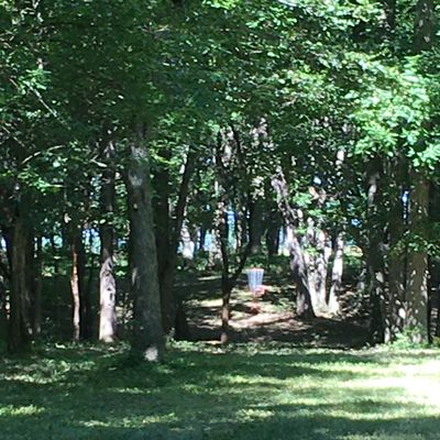 Hole 7 Fairway and Basket