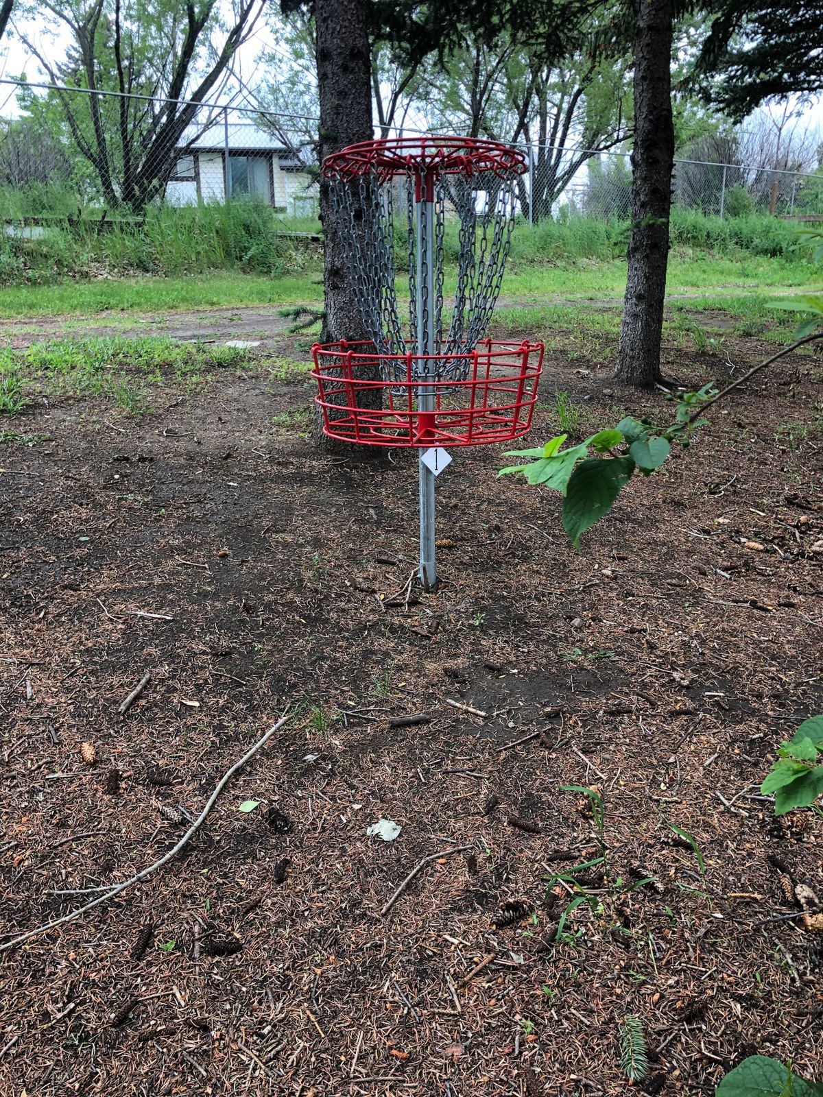 New basket number tags were added today. Look for them directly under the catch cage.