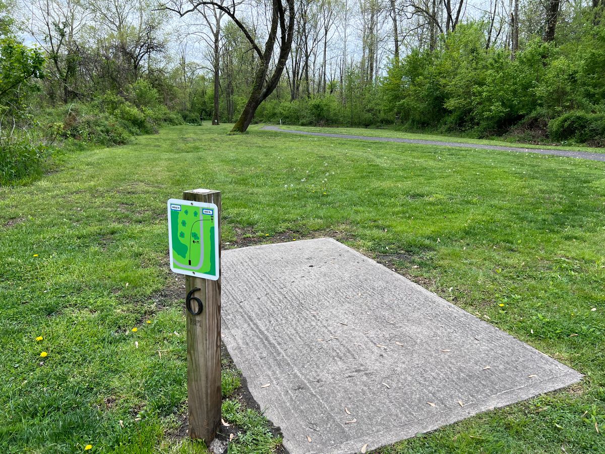 Tee 6. That tree is a Mando left. Basket way to the right in cleared area of bushes.