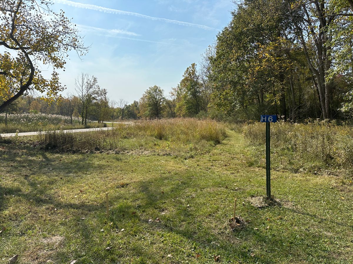 Hole 6 Tee