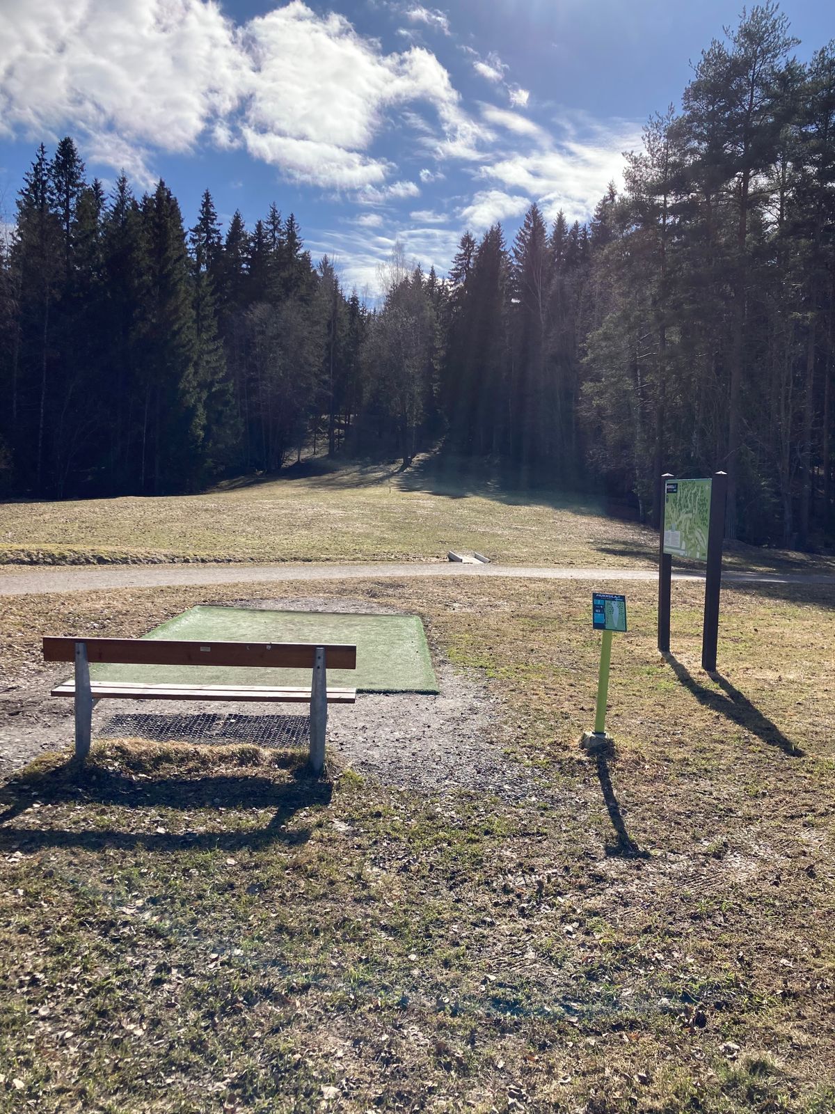 Forest hole 1