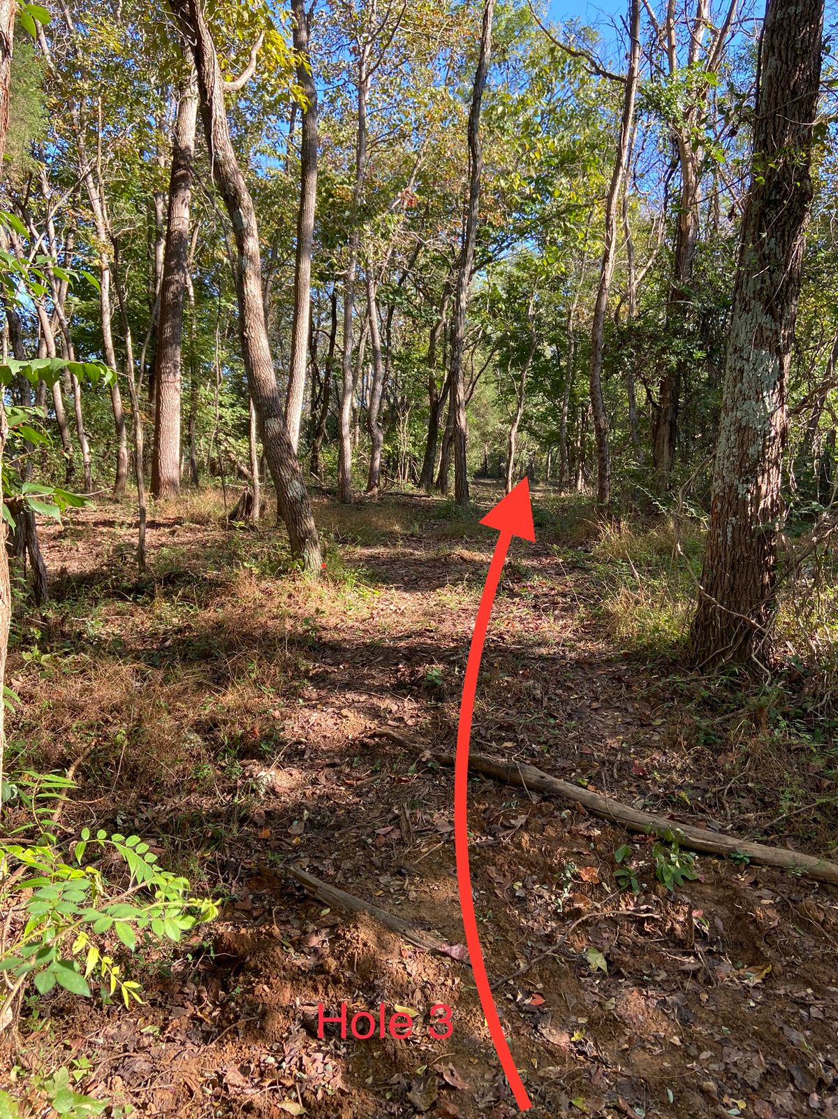 Hole 3