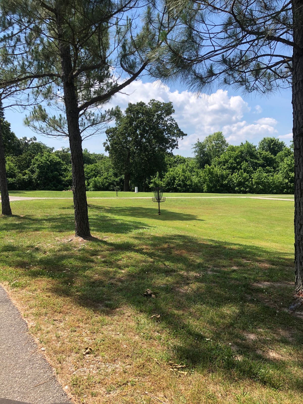 Some open play with some tight narrow fairways and some tree obstacles.