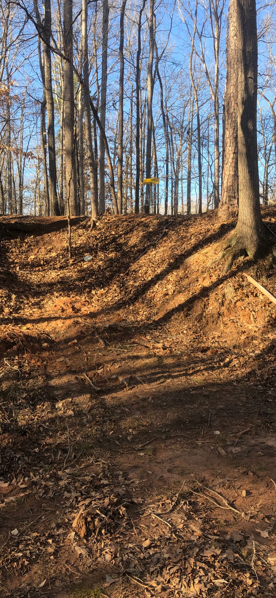 Hole 6 Basket