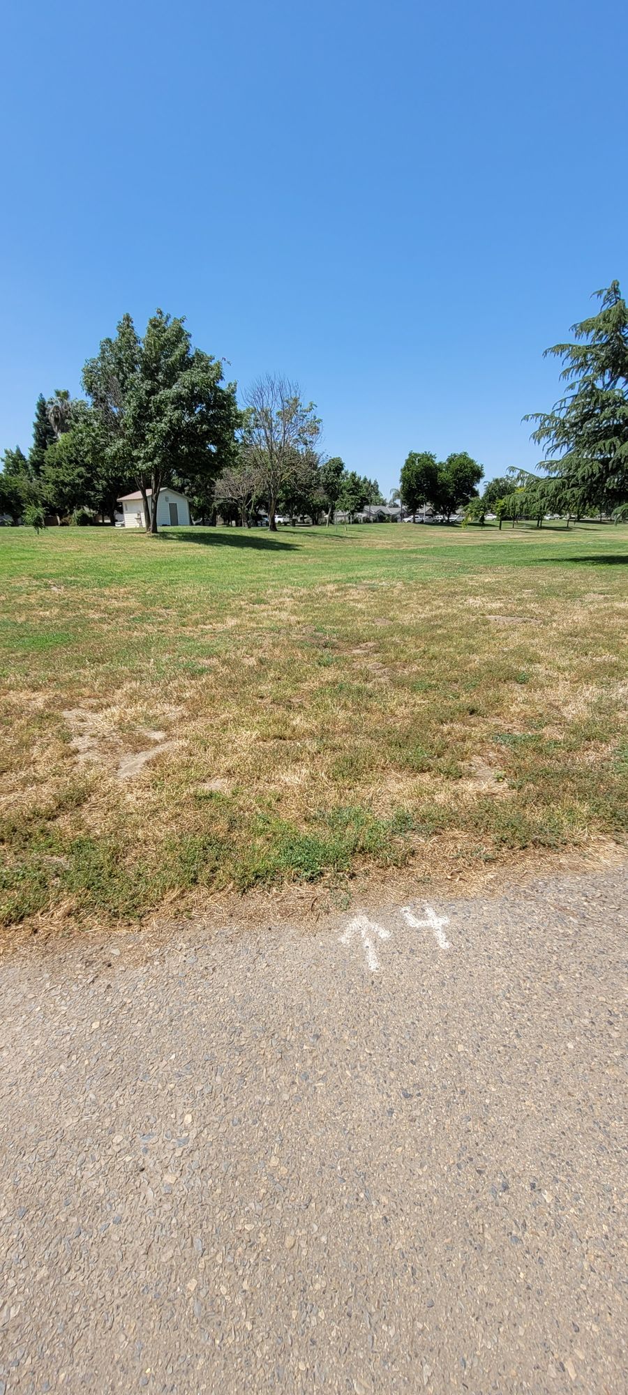 Tee Pad Hole 4